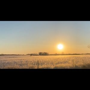 Meet your Posher, Kali